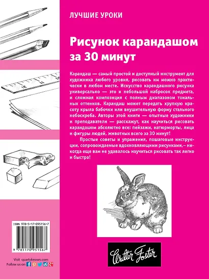 Лучшие уроки.Рисунок карандашом за 30 минут - фото 2