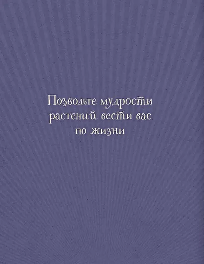 Магический гербарий. 36 карт с посланиями от волшебных растений (Оракул. 36 карт и руководство в коробке) - фото 2