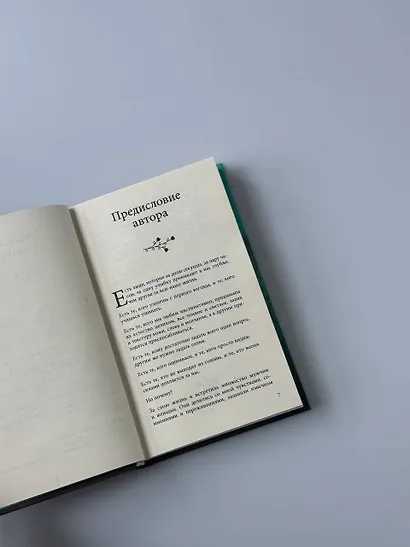 Кафе на острове Сен-Луи. Родные души всегда находят друг друга - фото 15