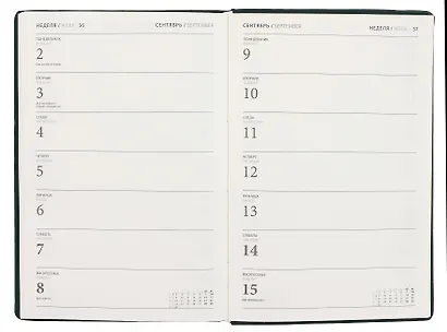 Плановик A5, 288с., полудатир.Expert Complete Shadow к/з, зеленый, на резинке - фото 4