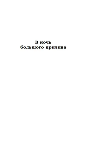 В ночь большого прилива - фото 7
