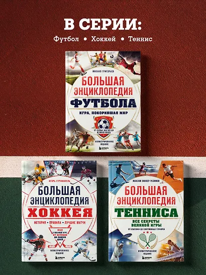 Большая энциклопедия тенниса. Все секреты великой игры: от классики до современных турниров - фото 7