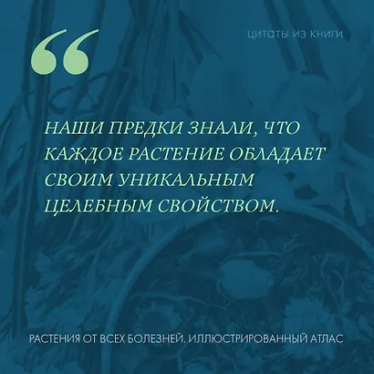 Растения от всех болезней. Иллюстрированный атлас - фото 5
