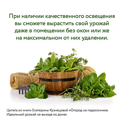Огород на подоконнике. Идеальный урожай не выходя из дома - фото 9