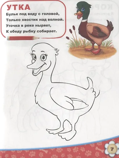 Домашние животные - фото 3