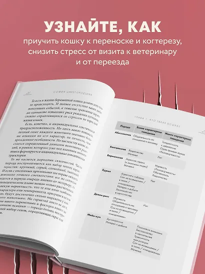 Кошачий закон и порядок. Как найти общий язык с кошкой и не стать жертвой ее капризов - фото 7