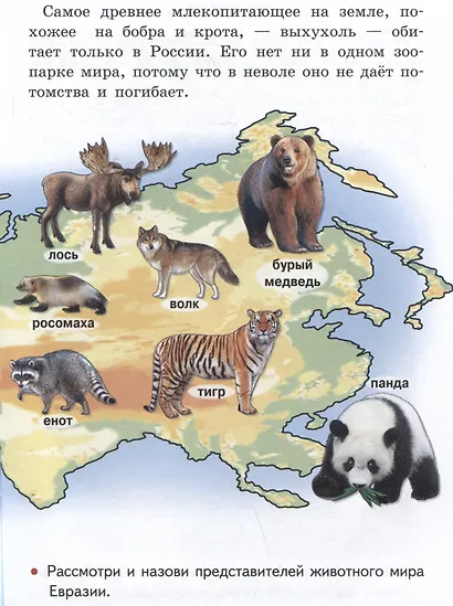 Изучаем окружающий мир (6-7 лет) - фото 5