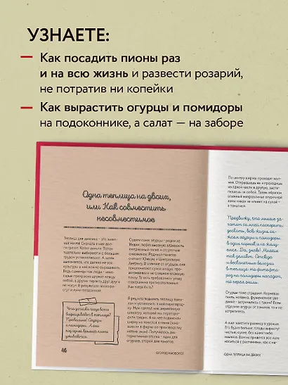 На умной даче с Оксаной Станкевич. Секреты и практика современного садовода - фото 5
