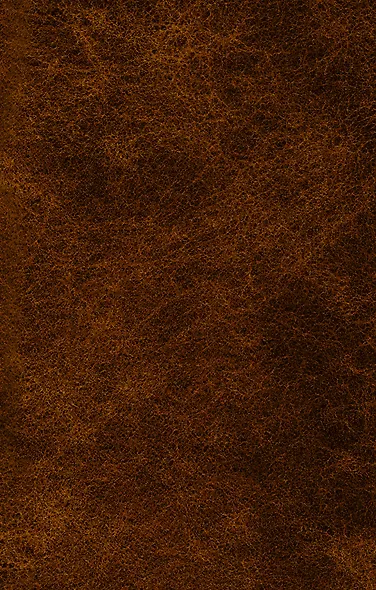 Гулящая - фото 2