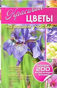 Красивые цветы на вашем участке - фото 1