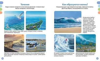 Море и его обитатели - фото 12