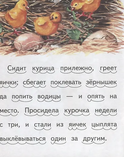 Чужое яичко - фото 4