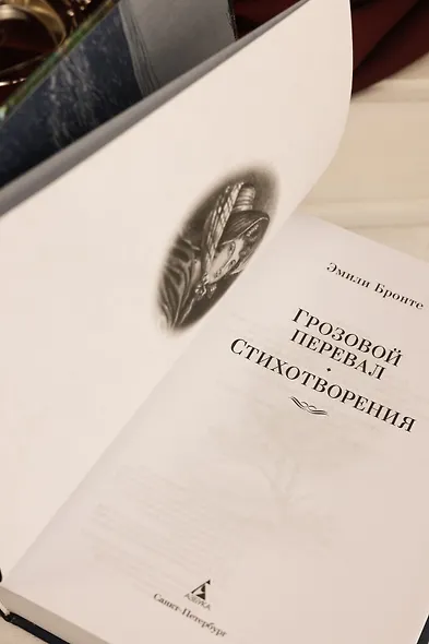 Грозовой перевал. Стихотворения - фото 13