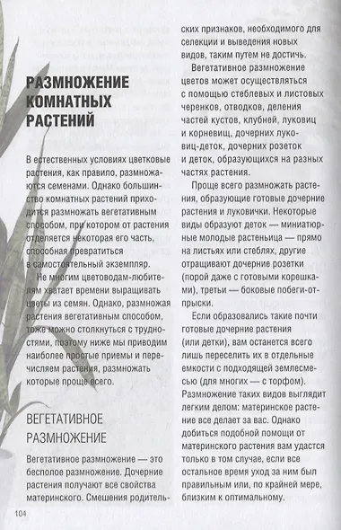 Все о комнатных растениях - фото 6