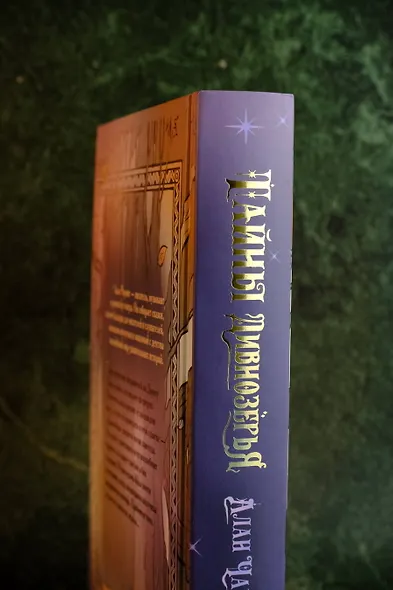 Тайны Дивнозёрья - фото 10