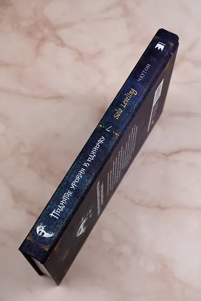 Поднятие уровня в одиночку. Книга 7 (Solo Leveling). Новелла - фото 8