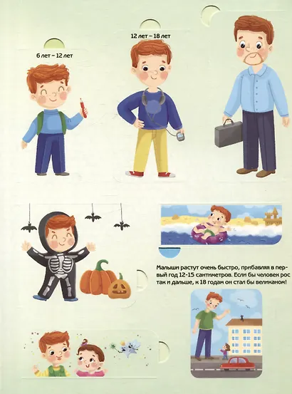 Как я расту. Энциклопедия с окошками - фото 3