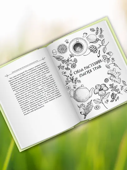 Зеленое ведовство. Уютная книга природной магии - фото 5