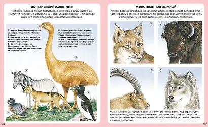 Чудесная планета - фото 7