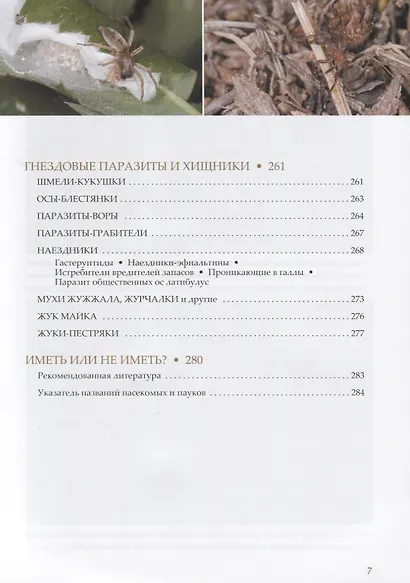 Пчелы, осы, пауки и другие строители - фото 5