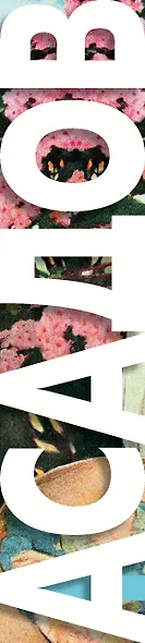 Полное собрание стихотворений - фото 5