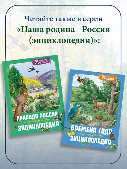 Русские полководцы и флотоводцы - фото 6
