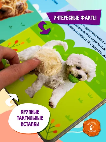 Мои питомцы - фото 5