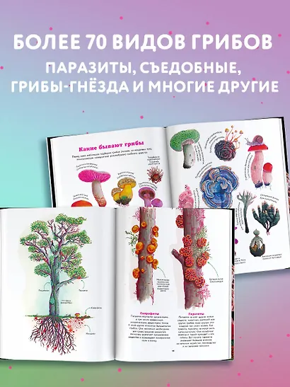 Царство грибов - фото 5