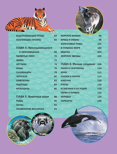 Мир животных - фото 9