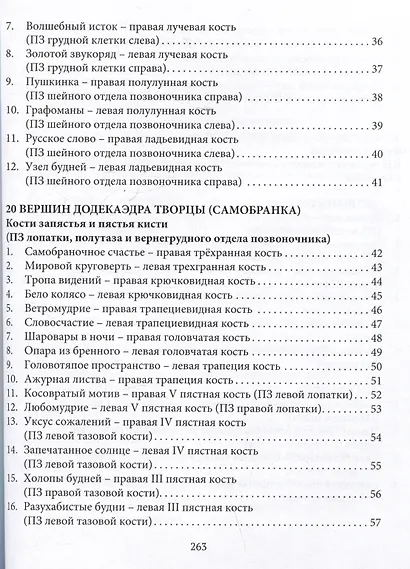 Ребро Адама. Пряные письмена памяти пяти Платоновых пространств. Авторская анатомическая поэзия в поисках Метакода Бытия - фото 4