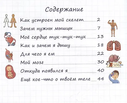 Тайны твоего тела. Энциклопедия для детей - фото 6