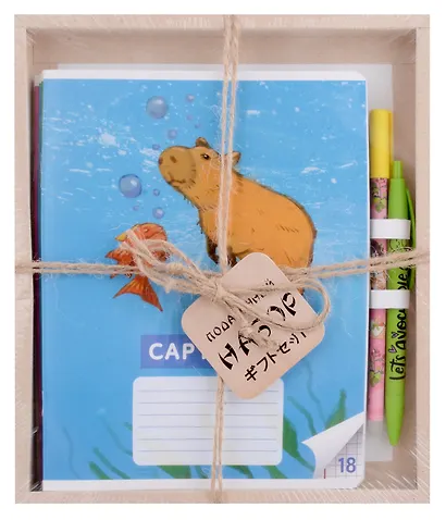 Тетрадь А5 18 листов "Капибары на природе" + ручка гелевая синяя пиши-стирай, + ручка шариковая синяя - фото 6