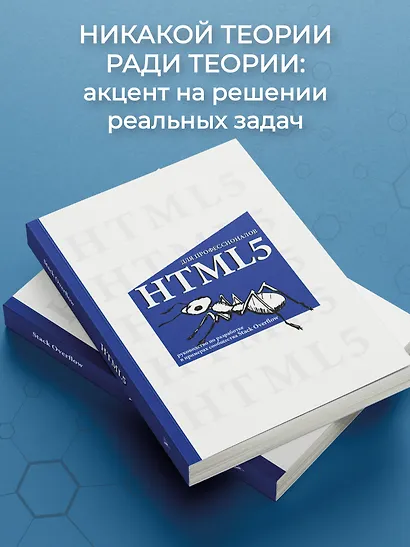 HTML5 для профессионалов. Руководство по разработке в примерах от сообщества Stack Overflow - фото 6