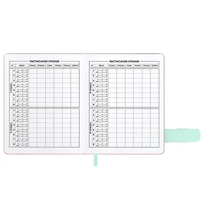 Дневник шк. "Всё норм" кожзам, тв.переплёт, тиснение фольгой, магнит.клапан, пантон, одно ляссе, загругл.углы, универс.шпаргалка - фото 12