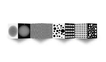 Интеллект. Мои первые контрастные книжки - фото 6