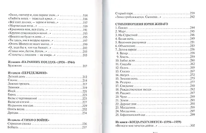 Пастернак Стихотворения (БИС ХХ) - фото 4