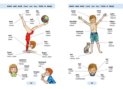620 первых английских слов в иллюстрациях - фото 10