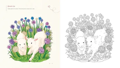 Весенним днём в Корее. Раскраски-антистресс, которые подарят тёплые чувства - фото 10