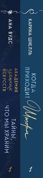 Комплект из 2-х книг (Тайны, что мы храним + Когда приходит шторм) - фото 8