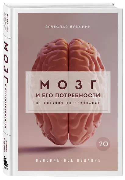 Мозг и его потребности 2.0. От питания до признания - фото 3