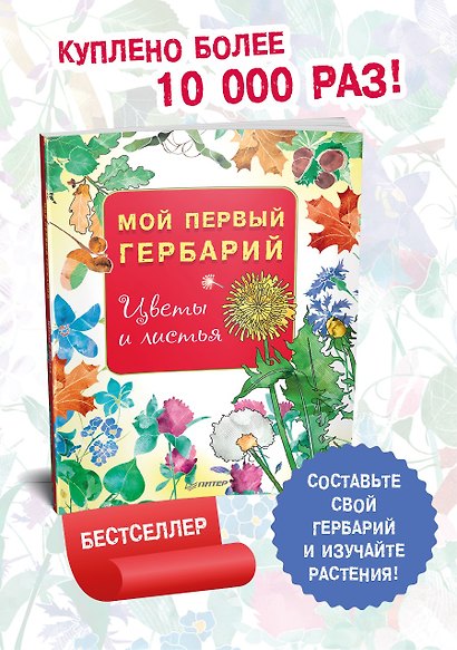 Мой первый гербарий. Цветы и листья - фото 3