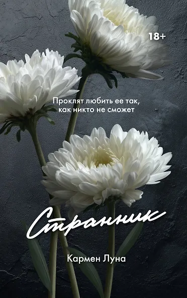 Странник - фото 1