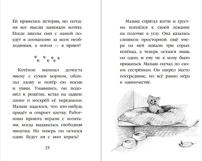 Котенок Одуванчик, или Игра в прятки: повесть - фото 6