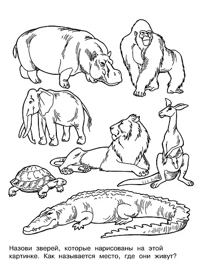 Изучаем животных. Раскраска серии "Скоро в школу" - фото 2