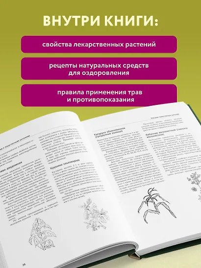 Энциклопедия народной медицины и натуропатии. Профилактика и лечение заболеваний народными средствами в домашних условиях - фото 5