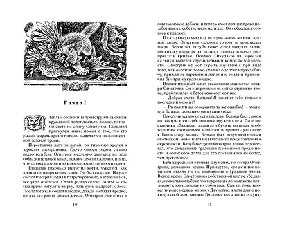 Бушующая стихия - фото 5