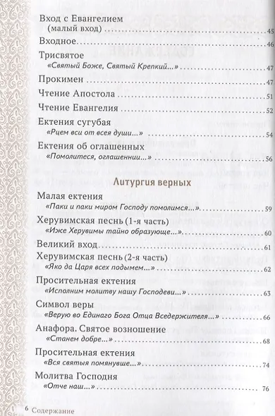 Главное таинство Церкви. Божественная Литургия с пояснениями - фото 7