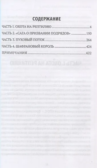 Апологет. Роман-фантасмагория - фото 3