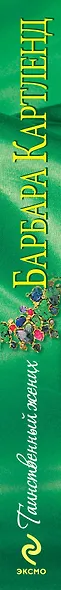 Таинственный жених - фото 4