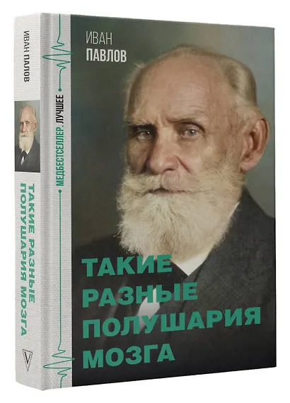 Такие разные полушария мозга - фото 3